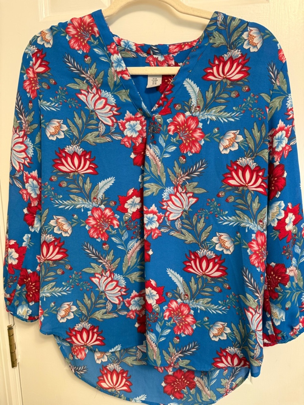 Paraphrase Blue Floral V-Neck Blouse with Red Accents
